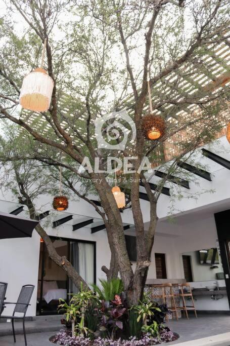 Villa Huizache Alberca Privada+Exclusividad+Lujo San Martín de las Pirámides エクステリア 写真
